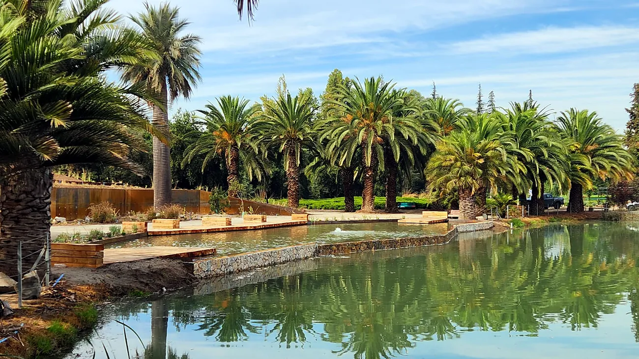 Laguna El Sol, Parque del Recuerdo, imagen 2 del proyecto