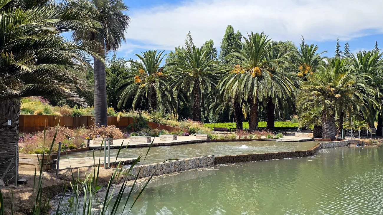 Laguna El Sol, Parque del Recuerdo, imagen 3 del proyecto