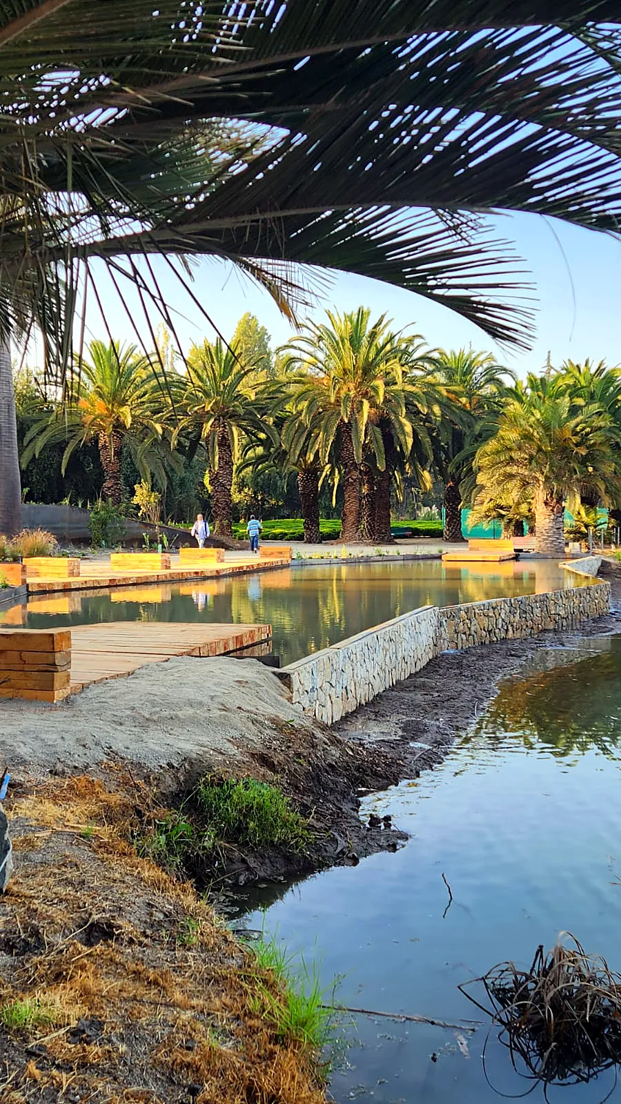 Laguna El Sol, Parque del Recuerdo, imagen 7 del proyecto